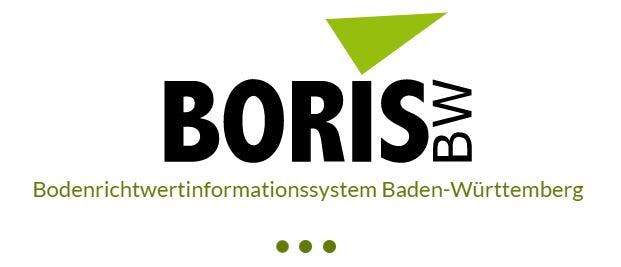 Portal BORIS BW